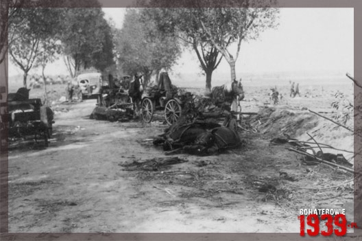 Pole bitwy nad Bzur 1939 r. - Ruszki, gm. Modzieszyn, pow. sochaczewski (fot. ze zb. Andrzeja Kornackiego).